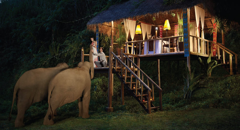 Elephant Camp Thailand | Mahout Training, Elephant Bathing & Elephant