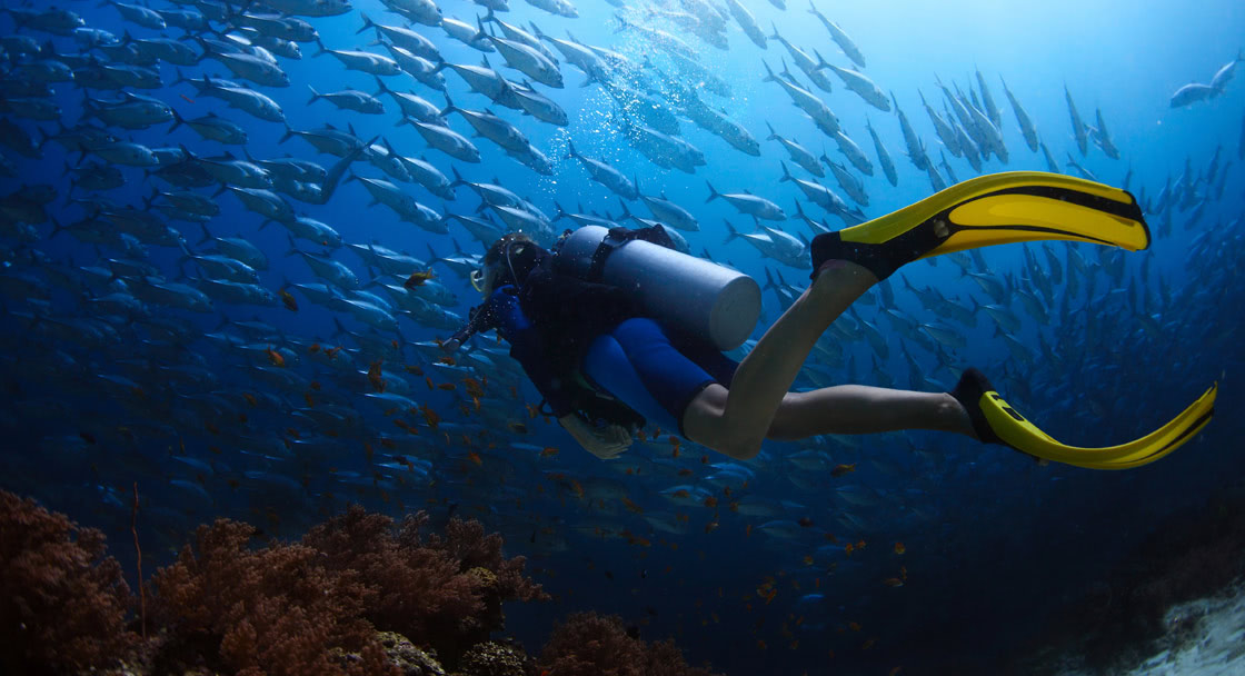 Diving In Mozambique Scuba Diving And Snorkeling at Anantara Medjumbe