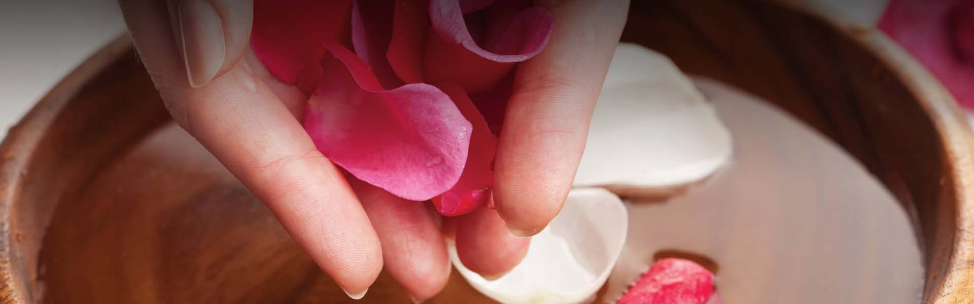 Norskejenter Swingers Porn Snygga Sexiga Tjejer Thai Lund